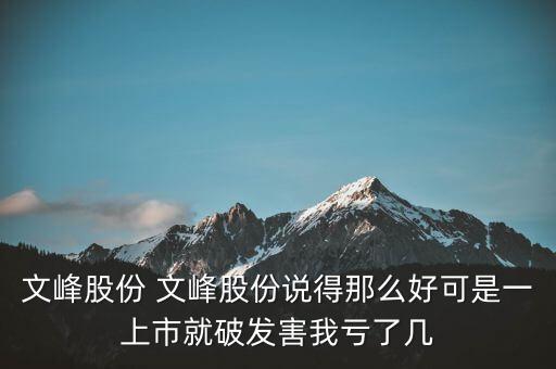 文峰股份是什么公司，文峰股份怎么樣
