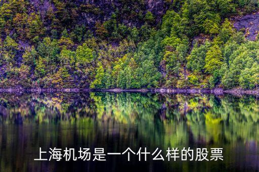 上海機(jī)場(chǎng)股票屬于什么股票，上海機(jī)場(chǎng)屬于什么行業(yè)的股票