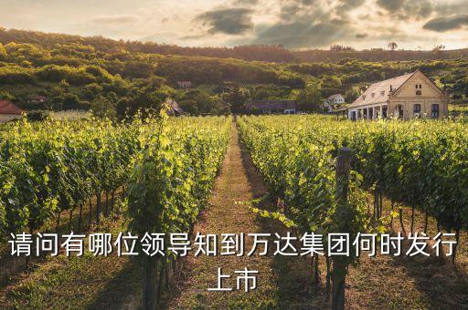 請問有哪位領(lǐng)導(dǎo)知到萬達(dá)集團(tuán)何時發(fā)行上市