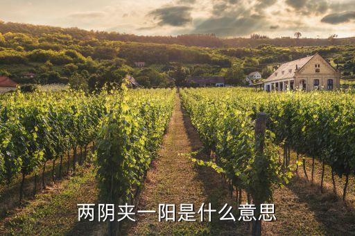 股票兩陰一陽又兩陰什么走勢，股市技術圖形兩陰一陽又兩陰后市怎樣