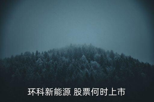 新能源股票什么時候上市呢，環(huán)科新能源 股票何時上市
