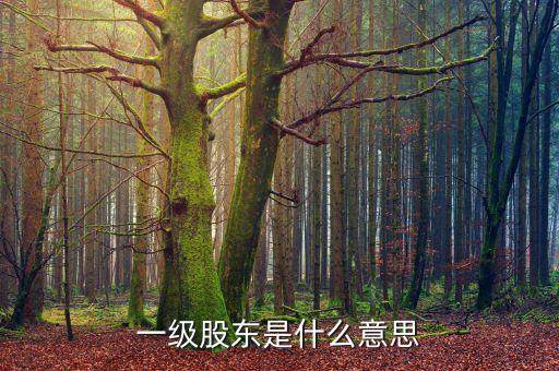 二級股東是什么意思，兩級股權(quán)結(jié)構(gòu)