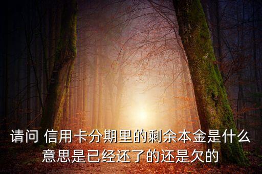 分期付息的本金是什么，請問 信用卡分期里的剩余本金是什么意思是已經(jīng)還了的還是欠的