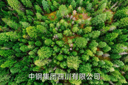 中鋼什么級別，中尉是什么等級