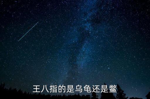 海王八指什么，什么是海王八