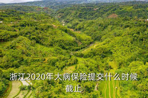 浙江2020年大病保險(xiǎn)提交什么時候截止