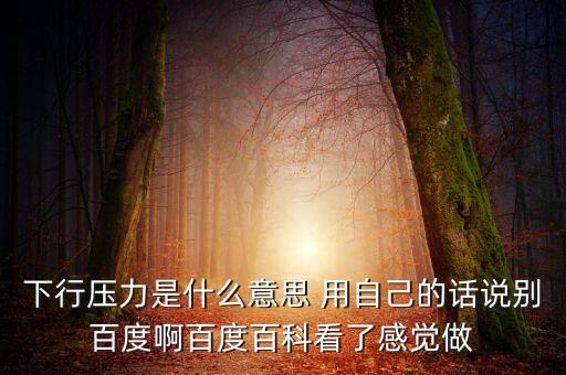 什么是下行壓力，應(yīng)對(duì)經(jīng)濟(jì)下行壓力還有哪些策略