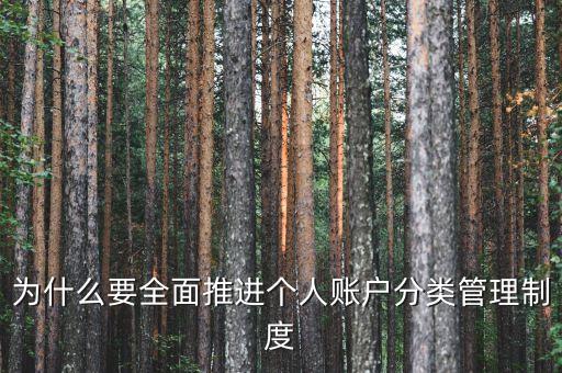 為什么進行賬戶分類，為什么要全面推進個人賬戶分類管理制度