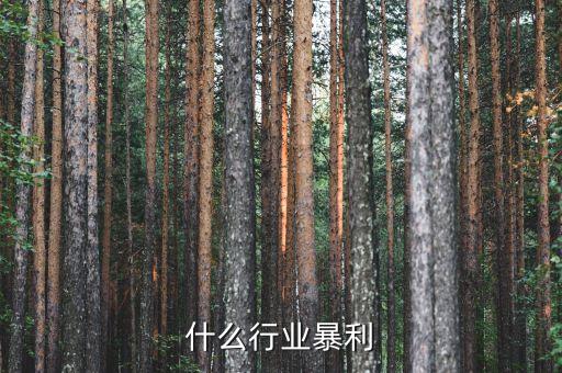 什么行業(yè)暴利，什么行業(yè)暴利