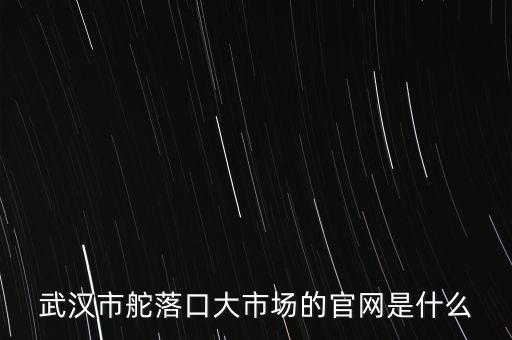 武漢市舵落口大市場的官網是什么