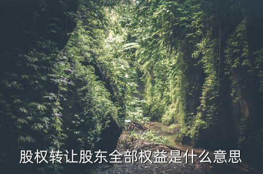 什么是全權(quán)益公司，股權(quán)轉(zhuǎn)讓股東全部權(quán)益是什么意思