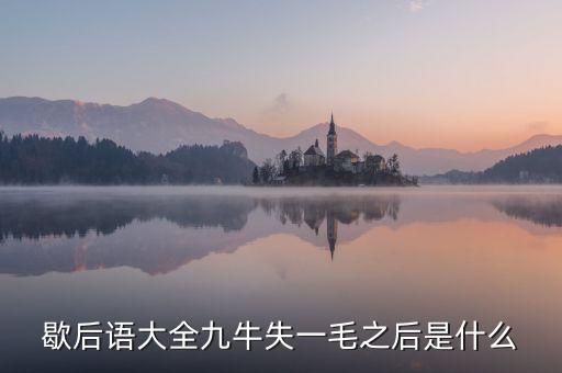 九牛失一毛的下預(yù)示什么，九牛失一毛