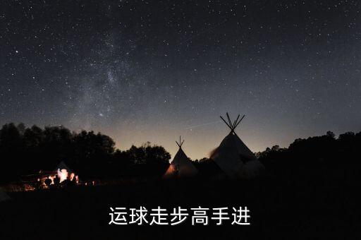 德隆治下的湘火炬戰(zhàn)略不包括什么，德隆治下的湘火炬戰(zhàn)略包括有哪些