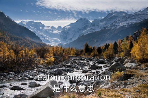 伊頓萬斯是什么，vans 是一個(gè)做什么的品牌