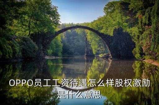 全員持股什么意思，OPPO員工工資待遇怎么樣股權(quán)激勵(lì)是什么意思