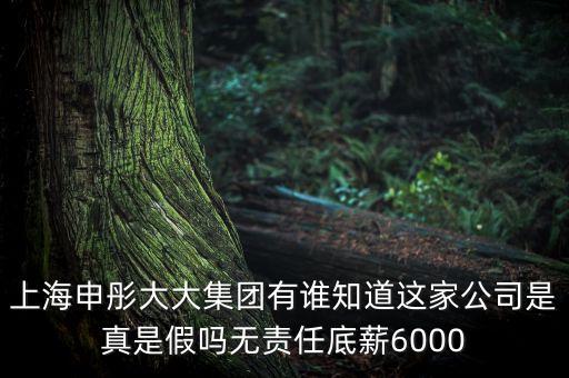申彤大大集團(tuán)賺的什么錢發(fā)工資，上海申彤大大集團(tuán)有誰(shuí)知道這家公司是真是假嗎無(wú)責(zé)任底薪6000
