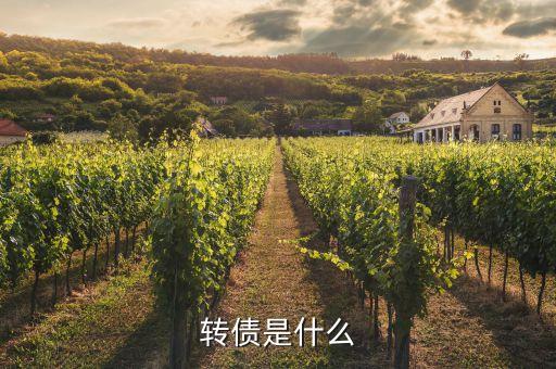 浙能轉(zhuǎn)債是什么，浙能電力轉(zhuǎn)債贖回兌付摘牌是利好還是利空