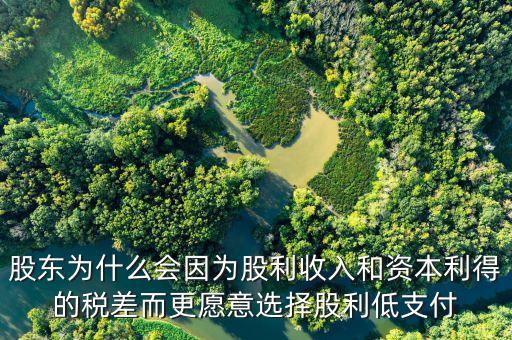 為什么發(fā)放股票股利會資本利得稅，股東為什么會因為股利收入和資本利得的稅差而更愿意選擇股利低支付