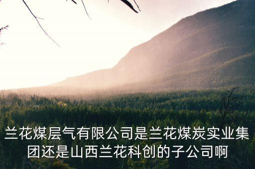 山西蘭花有什么煤層氣公司，山西蘭花煤炭實業(yè)集團有限公司