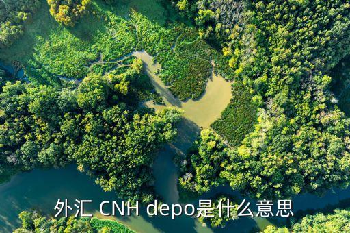 外匯de30是什么，新手一枚想知道TigerWit老虎外匯中的us30是什么意思
