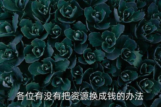 通過什么將資源轉化為財富，各位有沒有把資源換成錢的辦法