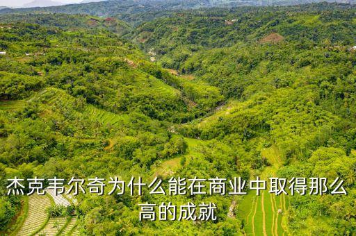 杰克韋爾奇為什么沒(méi)在中國(guó)成功，杰克韋爾奇為什么能在商業(yè)中取得那么高的成就