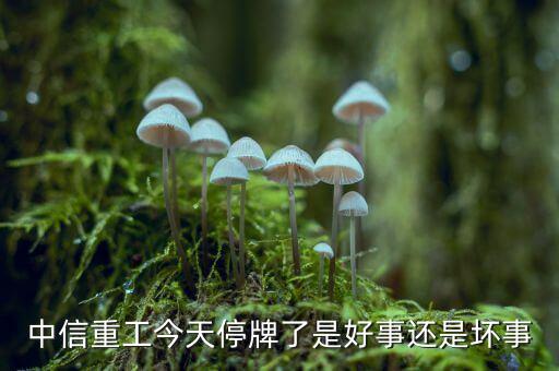 中信重工什么時候復牌，中信重工今天停牌了是好事還是壞事