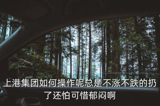 上港集團什么級別，上港集團振東集裝箱碼頭分公司的介紹