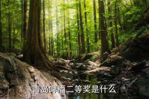 青島啤酒2等獎是什么，請問昨天喝了一瓶青島啤酒上面寫了2等獎是什么意思獎品是什么