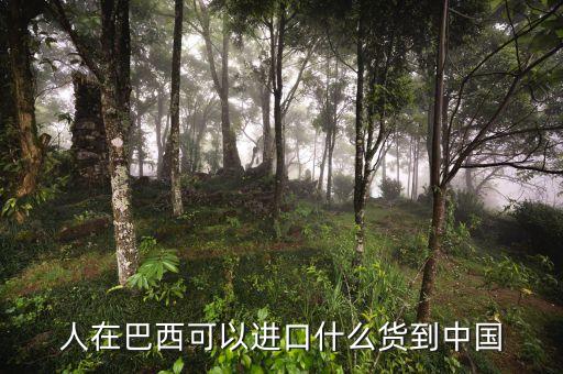 中國從巴西進口什么，中國向巴西進口哪些東西