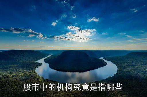 股票中的機構指什么，股市里的機構指的是什么