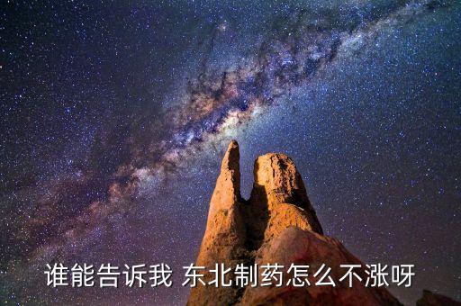 東北制藥為什么不漲，002251為什么不漲是不是公司出問(wèn)題了