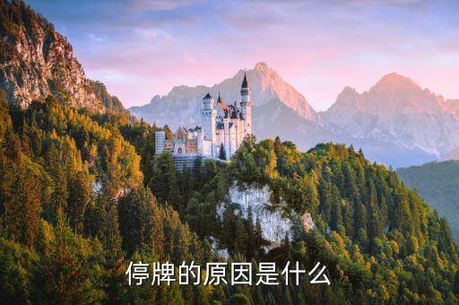 中國巨石為什么停牌，000009今天為何停牌