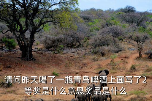 請問昨天喝了一瓶青島啤酒上面寫了2等獎(jiǎng)是什么意思獎(jiǎng)品是什么