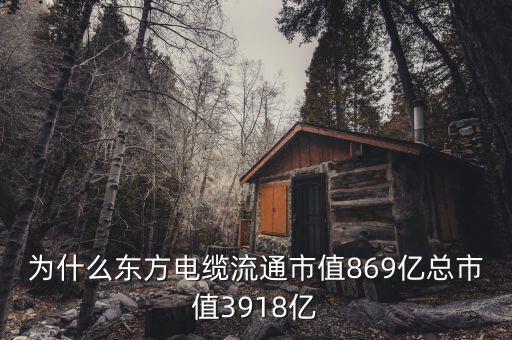 東方電纜什么時候上市，為什么東方電纜流通市值869億總市值3918億