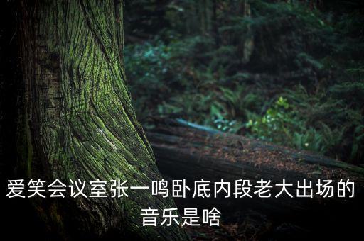 愛笑會議室張一鳴臥底內段老大出場的音樂是啥