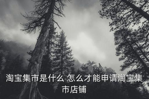 淘寶集市店鋪是什么，淘寶集市店是什么