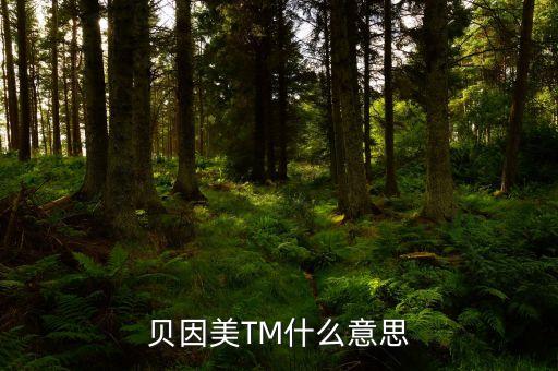 貝因美尾盤1多手什么意思，貝因美TM什么意思