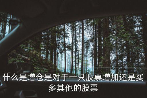 什么是增倉(cāng)是對(duì)于一只股票增加還是買(mǎi)多其他的股票