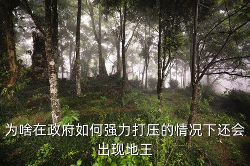2016年為什么地王頻出，地王頻現(xiàn)傳遞什么信號(hào)