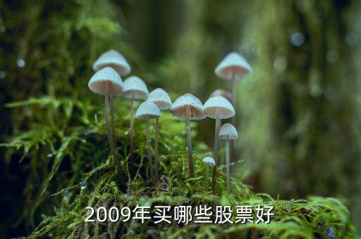 中山公用什么時候分紅，佛山農(nóng)村戶口教師轉(zhuǎn)中山非農(nóng)戶口好不好