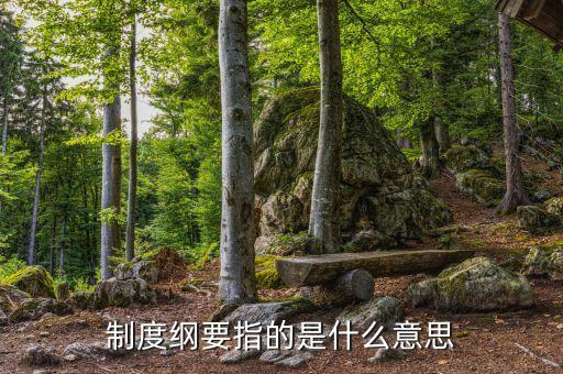 什么是公司綱要，制度綱要指的是什么意思