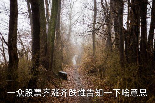 股票量價齊跌意味著什么，這幾天大盤量價齊跌從技術(shù)角度說明什么