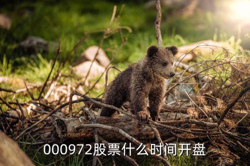 迦南科技什么時(shí)候開(kāi)盤，002730甚么時(shí)候開(kāi)盤