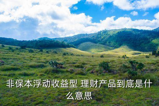 非保本理財(cái)什么意思，理財(cái)產(chǎn)品非保本是什么意思