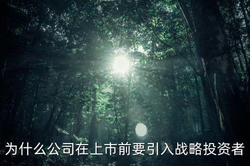 上市為什么要引入風(fēng)投，為什么公司在上市前要引入戰(zhàn)略投資者
