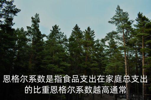 什么是恩格爾系數(shù)法，什么是恩戈爾系數(shù)