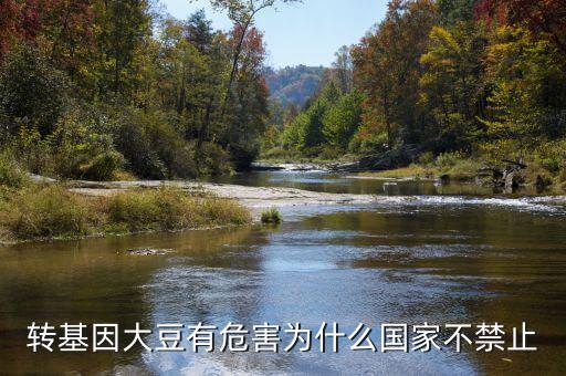 為什么說轉(zhuǎn)基因大豆會(huì)致癌，轉(zhuǎn)基因大豆有危害為什么國家不禁止