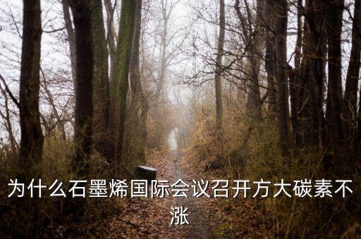 炭素與石墨烯是什么關(guān)系，石墨烯是有碳原子構(gòu)成的單層片狀的新材料可由石墨剝離而成具有