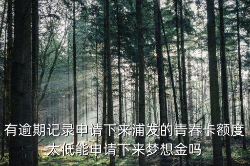 為什么青春卡夢想金要等一個月，浦發(fā)信用卡青春卡的夢想金是開卡就可以申請的還是等一個月